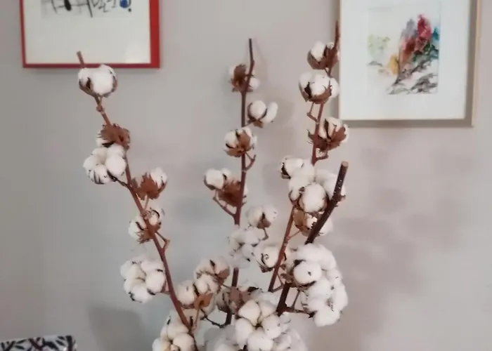 A La Fermette De Limesle 3* Loiron-Ruille